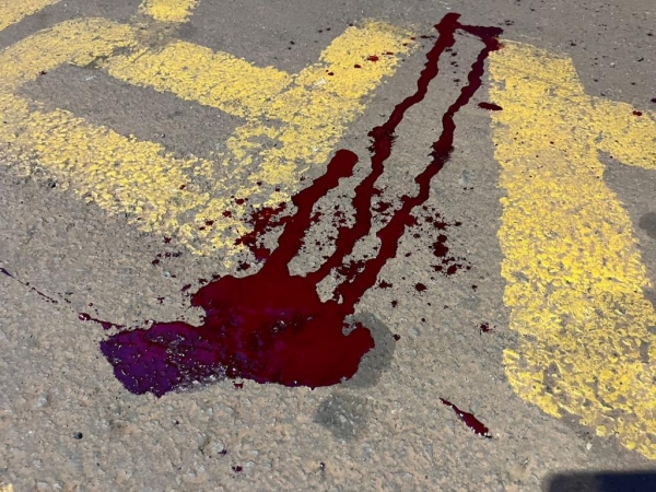 Fotos: Portal Nova Santa Rosa.