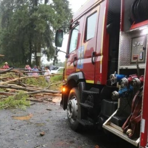 Fotos: Márcio Lopes/A Rede