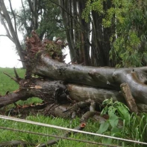 Fotos: Márcio Lopes/A Rede