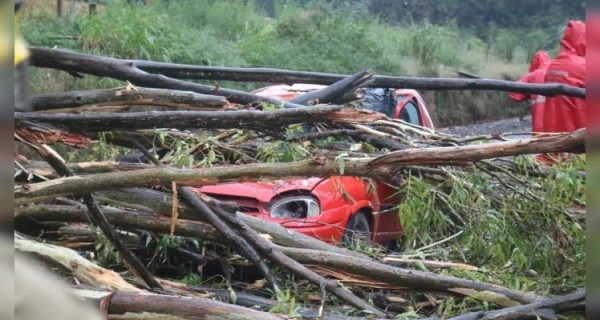 Fotos: Márcio Lopes/A Rede