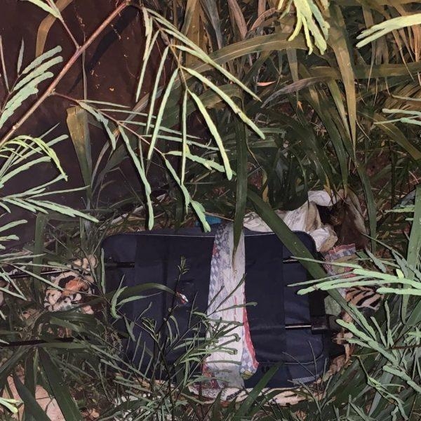 Foto: Colaboração/Oops Notícia Foz na Hora