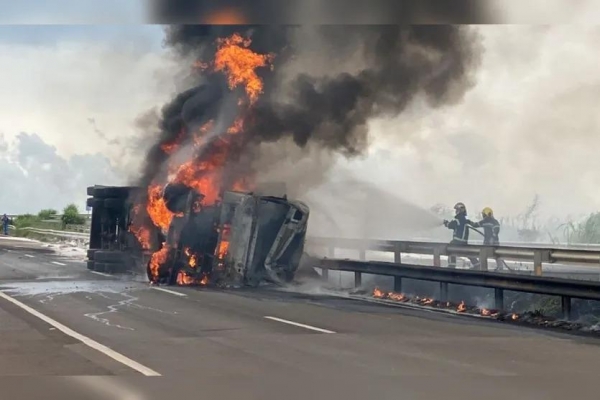 Fotos: Reprodução/TN Online