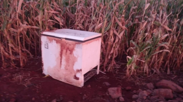 Fotos: Divulgação.