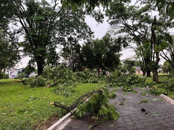 Fotos: Portal Nova Santa Rosa