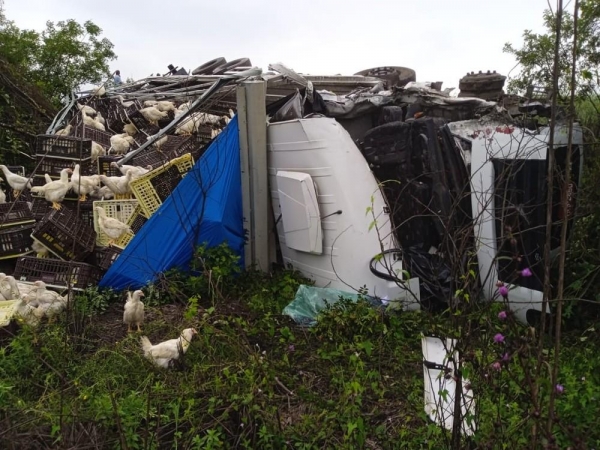 Caminhoneiro morre em colisão com outra carreta na BR-476 — Foto: PRF