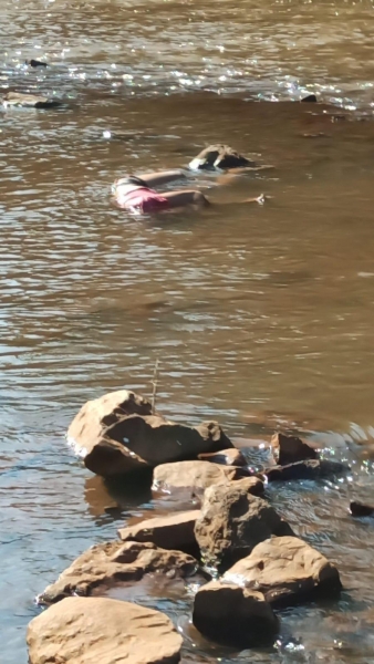 Fotos: Portal Nova santa Rosa.