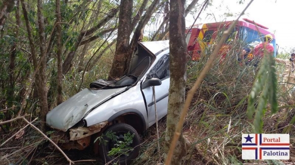 Fotos: Portal Palotina.