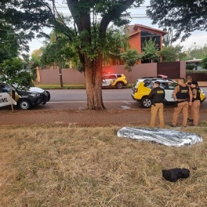 Foto: Portal Palotina.