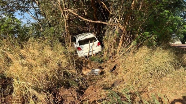 Foto: Tribuna de Palotina