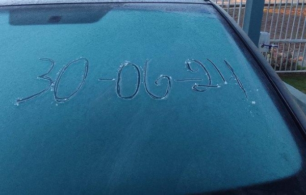  Foto: Antoninho Fontanella/Divulgação PP News