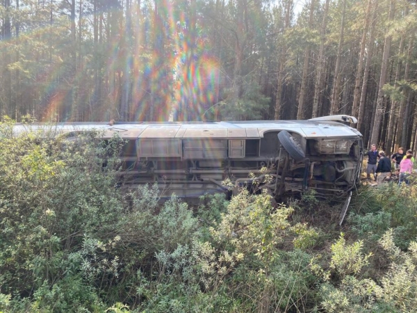 Fotos: Reprodução/PP News.