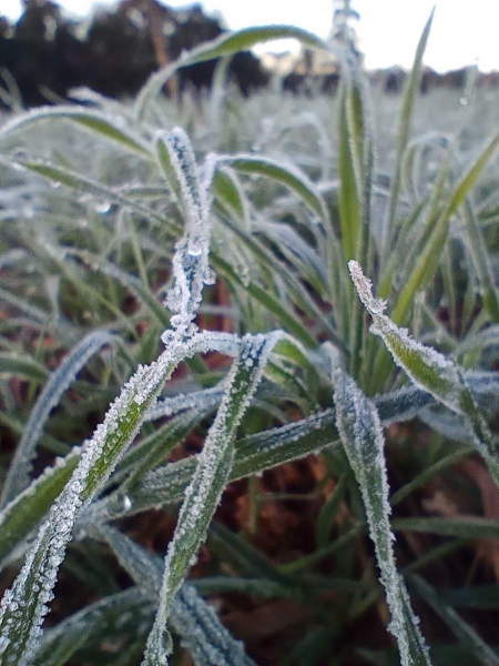 Fotos: Nathiely Mariane Schmitt