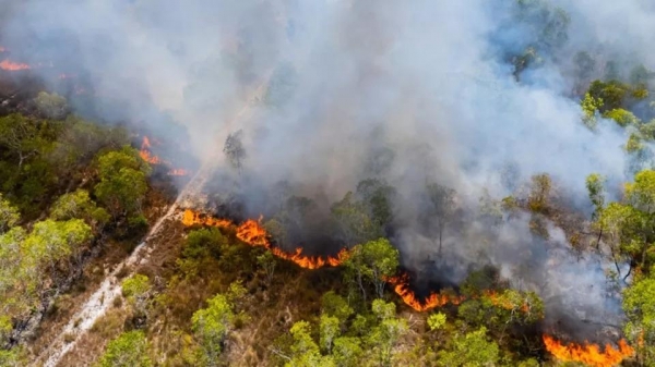 Foto: Reprodução/Sistema Faep