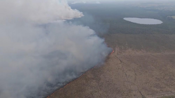 Incêndio destrói mais de quatro milhões de metros quadrados em Altônia — Foto: Tico Paraná