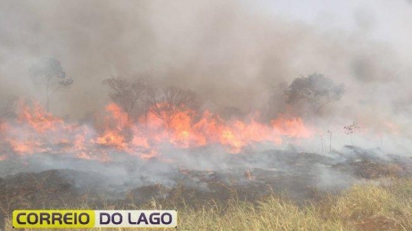 Foto: Reprodução/Correio do Lago.