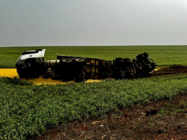 Fotos: Portal Nova Santa Rosa