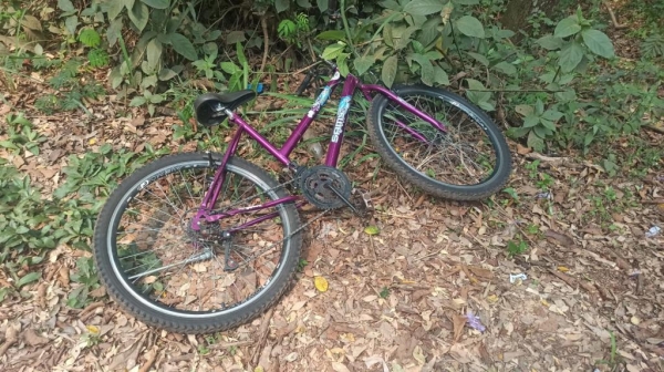 Fotos: Portal Nova Santa Rosa