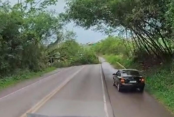 Fotos: Ponto da Notícia