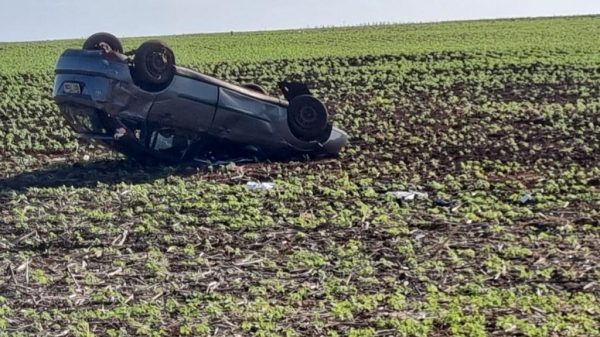 Foto: Arquivo pessoal/Internauta.