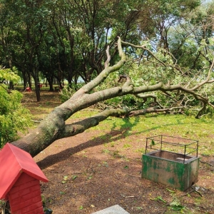 Porto Mendes (Foto: Internauta)
