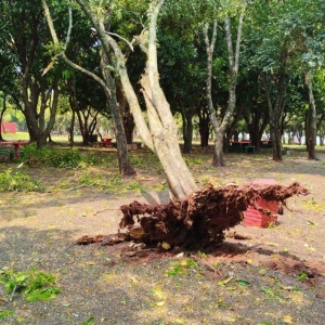 Porto Mendes (Foto: Internauta)