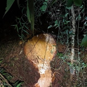 Foto: PRF/Divulgação.