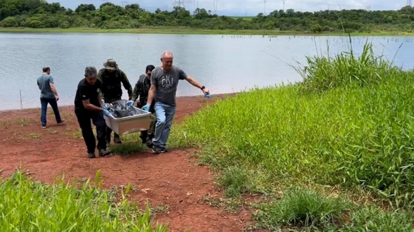 Foto: Oops Notícia Foz Ná Hora