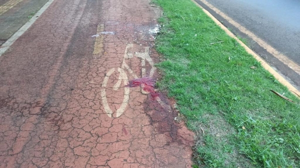 Fotos: Portal Nova Santa Rosa