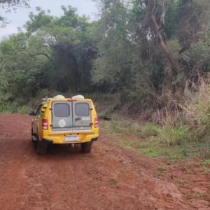 Foto: Tribuna de Palotina