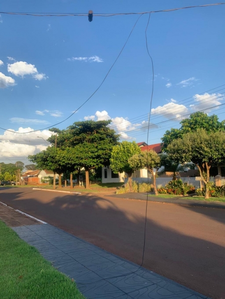 Fotos: Internauta do Portal