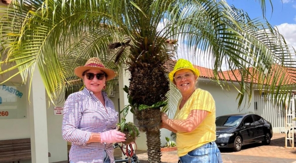 Fotos: Portal Nova Santa Rosa