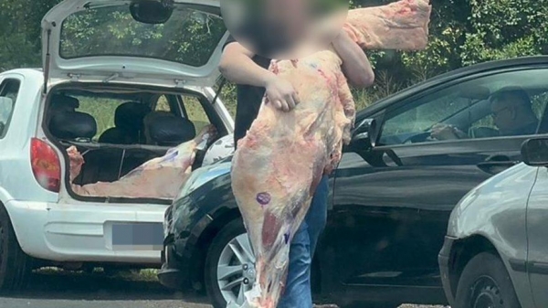 Foto: Reprodução/CGN