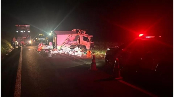 O acidente resultou na carga de peixes espalhada pela rodovia, causando a interdição parcial da pista. Foto: PRE.