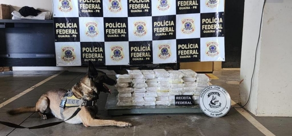 A suspeita foi confirmada com o auxílio de um cão detector de drogas da Polícia Federal. Foto: Polícia Federal.
