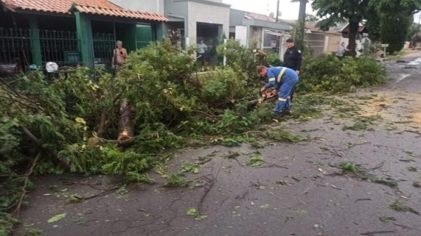 Fotos: Portal Nova Santa Rosa