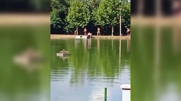 Foto: Internauta Portal Nova Santa Rosa