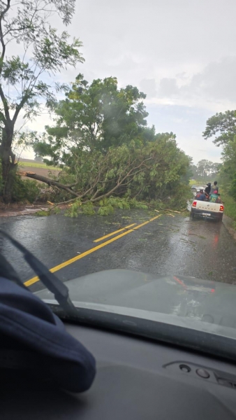 Fotos: Divulgação.
