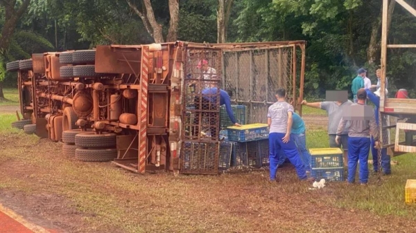 Foto: Tribuna de Palotina