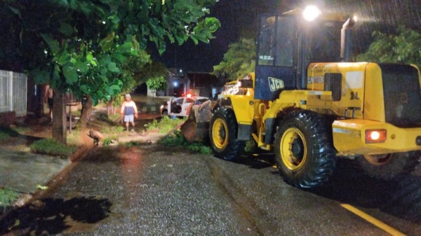 Foto: Assessoria Prefeitura de Palotina.