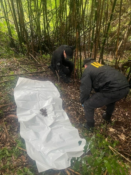 Foto: Polícia Civil do Paraná.