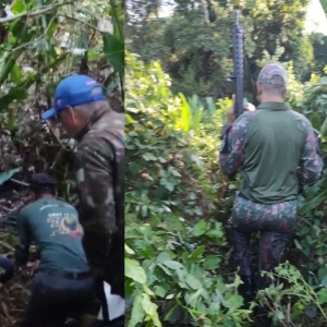 Equipes na região do Pantanal, durante buscas. — Foto: Reprodução