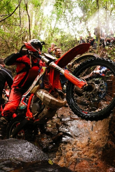 Fotos: Divulgação.