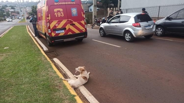 Fotos: Portal Nova Santa Rosa.