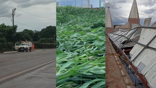 Fotos: Portal Nova Santa Rosa/Catve