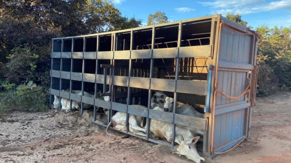 Fotos: Redes Sociais.