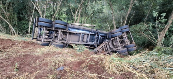Fotos: Portal Palotina