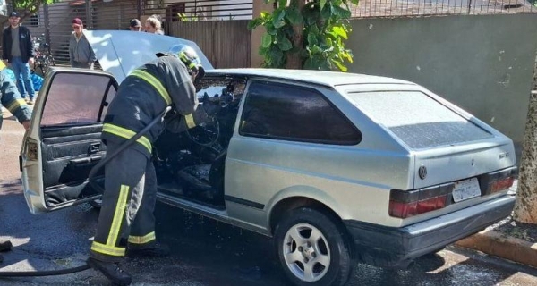 Fotos: Portal Palotina