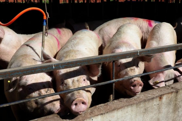 Foto: Agência Estadual de Notícias.