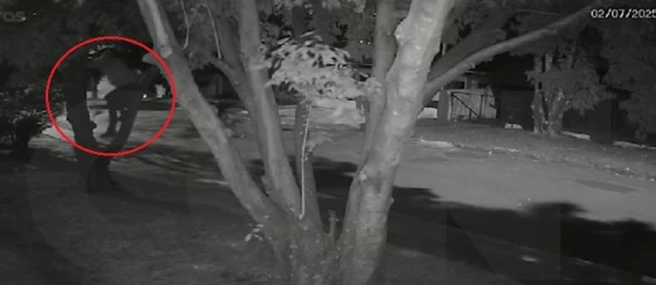 Fotos: Reprodução (CGN)