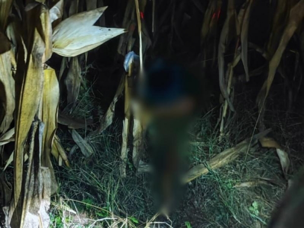 Foto: Ponto da Notícia